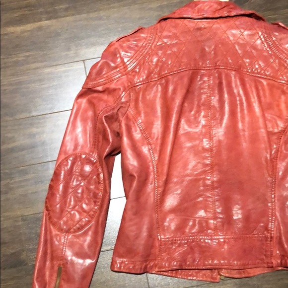 Leather Moto Jacket - Picture 4 of 7